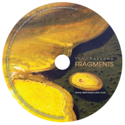 Fragments-disc-large